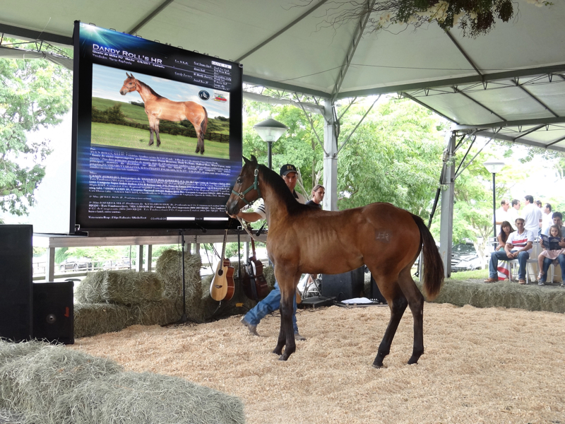 P6MM OUTDOOR RENTAL LED DISPLAY